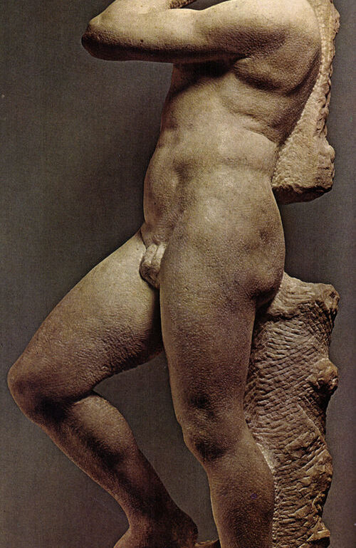 500px-Michelangelo,_apollino_01 Vanaf 15 oktober: ‘De mannen van Michelangelo’ in Teylers Museum Haarlem